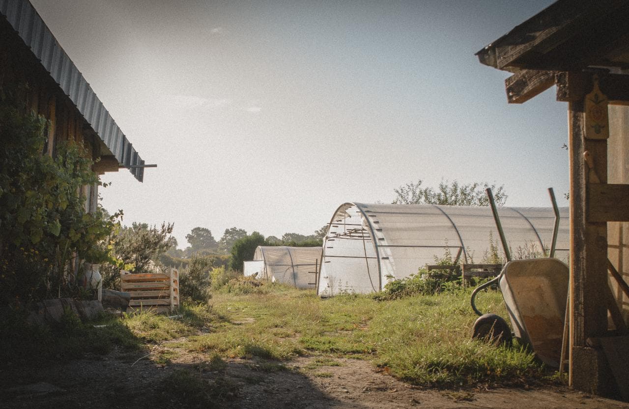 Maraîcher bio au Jardin des Rainettes à Plessé