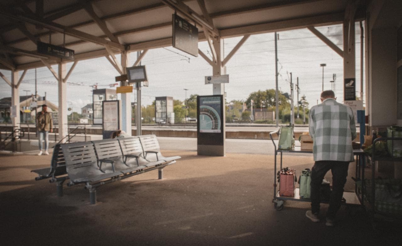 Champ de légumes en culture